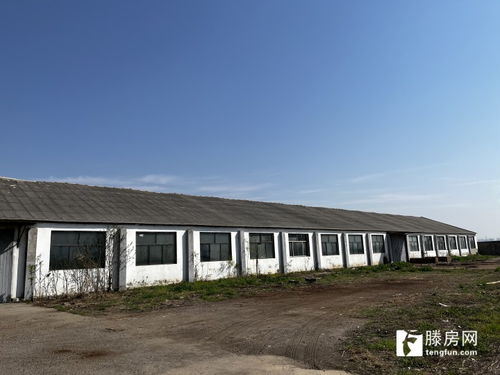 独院厂房出租价格面议