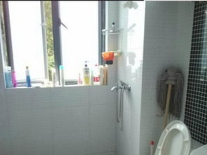 图 北京路brt旁900精品好房出租押一付一长短租均可 乌鲁木齐租房 乌鲁木齐列表网