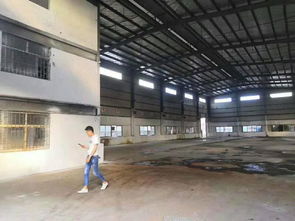 常平新出 二套精品独院钢构厂房 出租