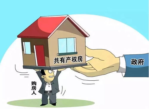 房屋租赁市场动态播报