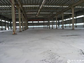 麻涌镇标准厂房3楼出租原房东可以办环评机械工厂