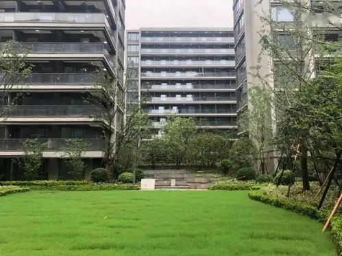 如何预约租赁？你想知道的自持商品房屋租赁热点问答在这里