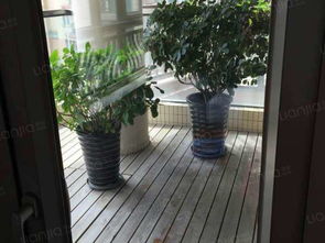 御翠精品2房出租 高楼层采光佳，居家装修舒适宜居